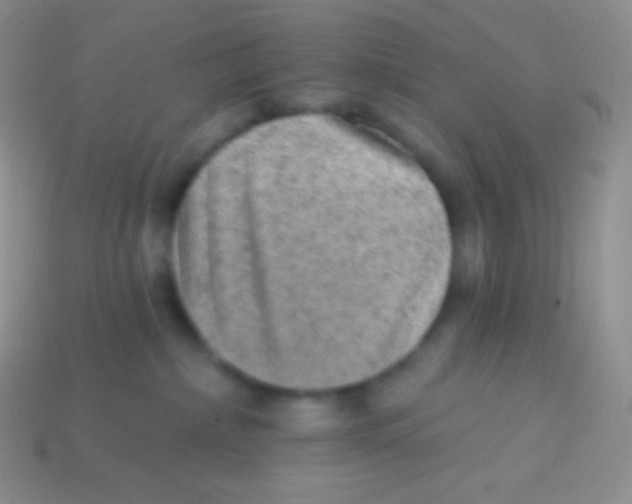 X0000113630236200910162022