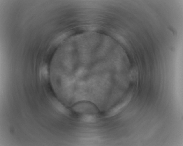 X0000113630238200910162022