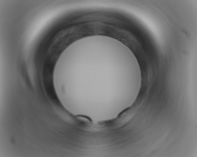 X0000113630239200910162022