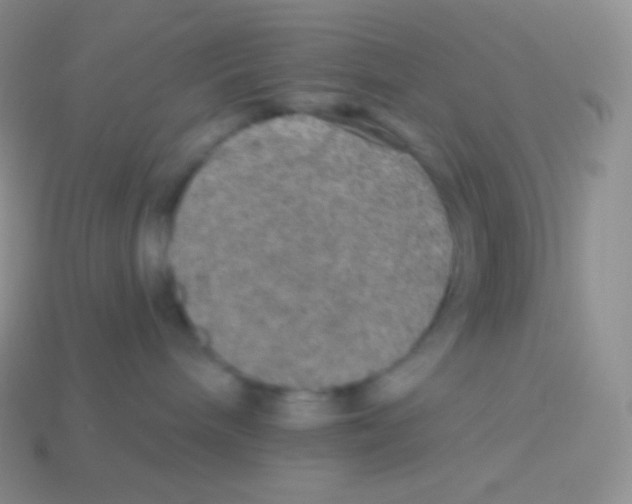 X0000113630240200910162022