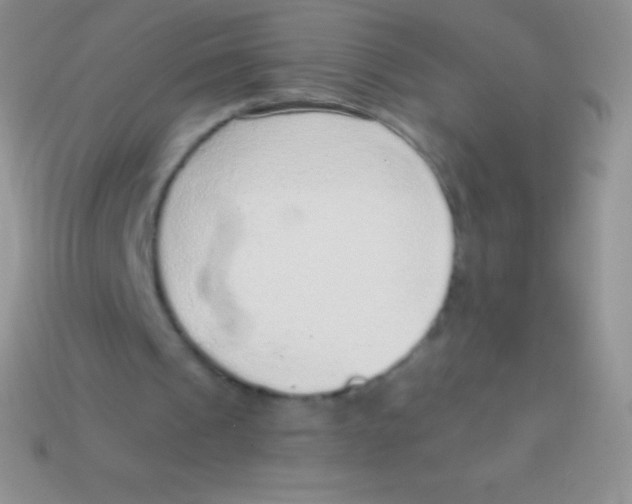 X0000113630241200910162022