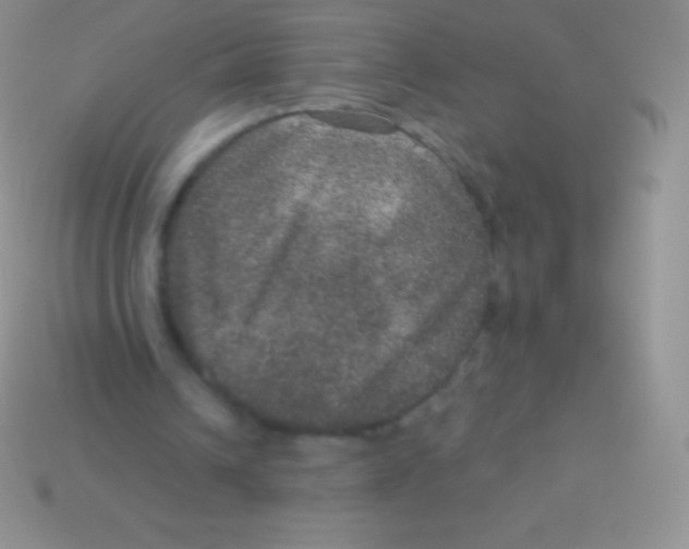 X0000113630242200910162022