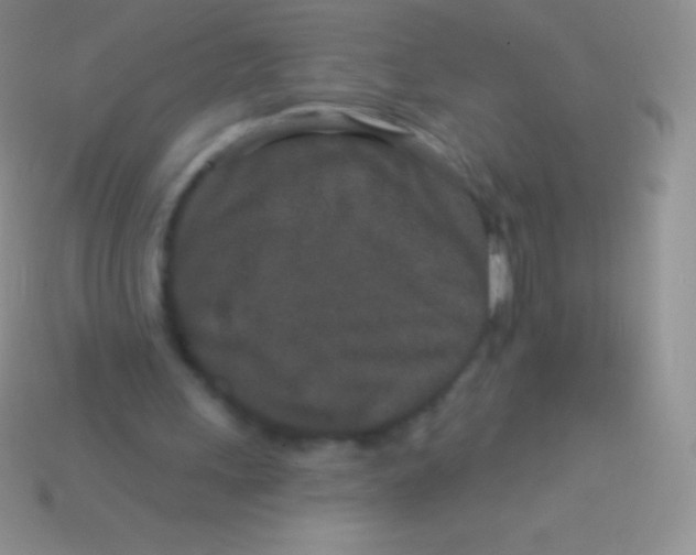 X0000113630243200910162022