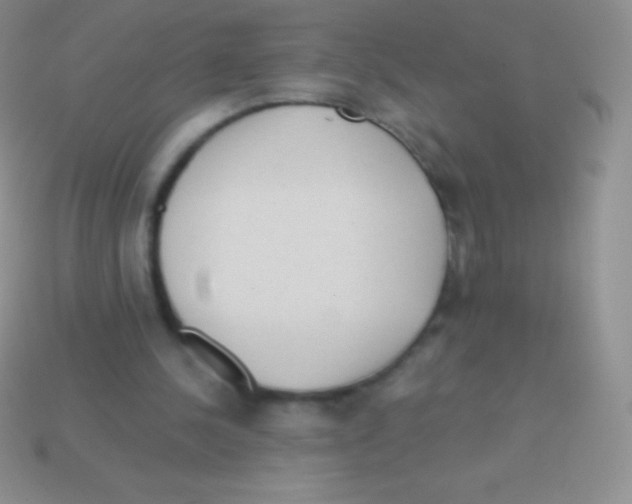 X0000113630244200910162022