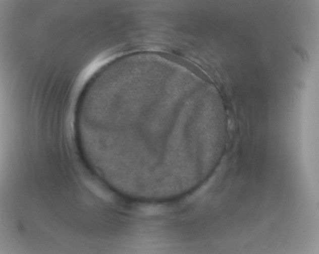 X0000113630246200910162022