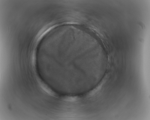 X0000113630247200910162022