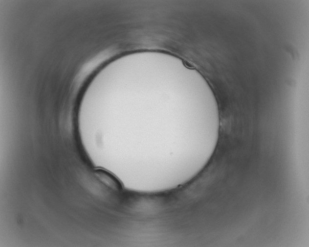 X0000113630248200910162022