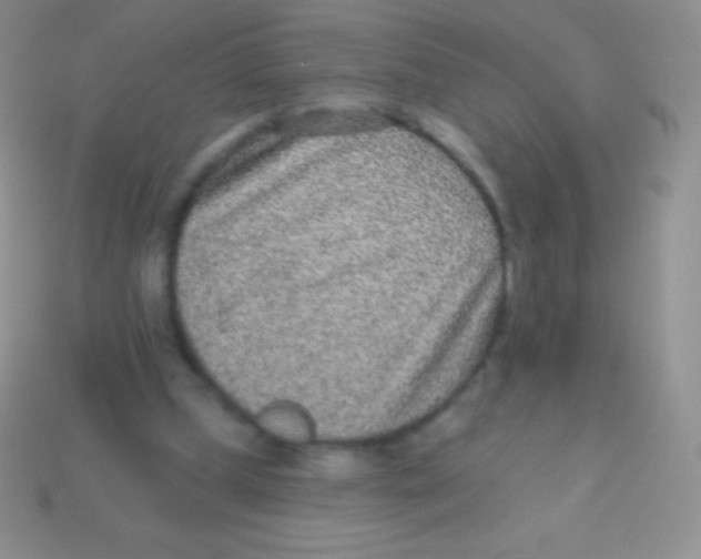 X0000113630249200910162022