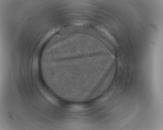 X0000113630250200910162022