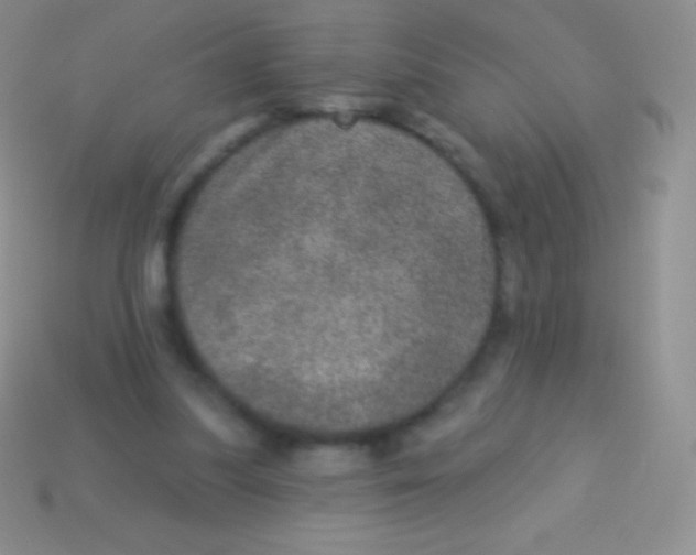 X0000113630251200910162022