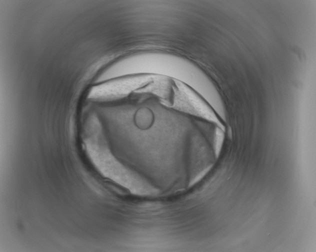 X0000113630252200910162022