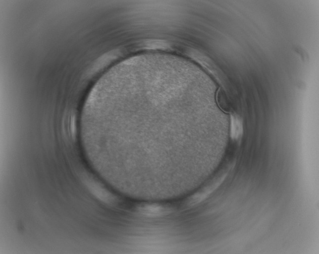 X0000113630253200910162022