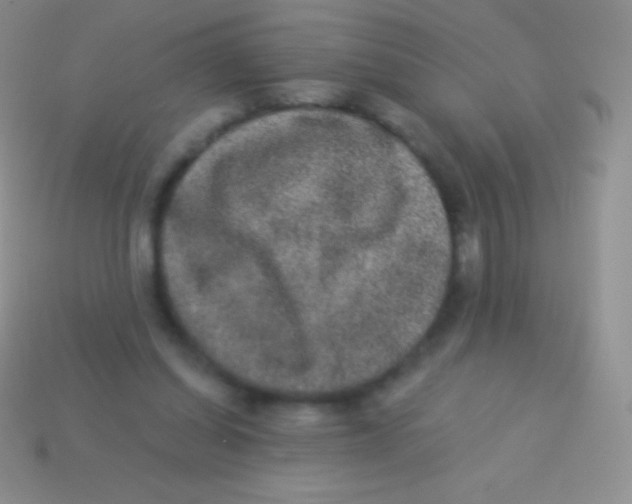 X0000113630254200910162022