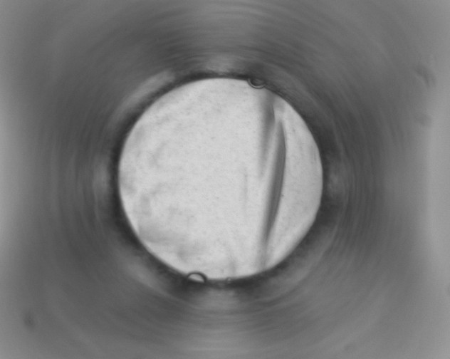 X0000113630256200910162022