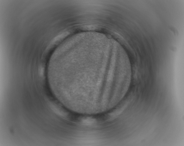 X0000113630258200910162022