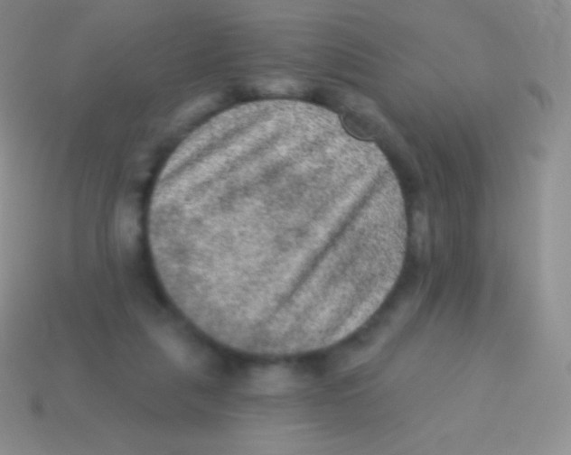 X0000113630259200910162022