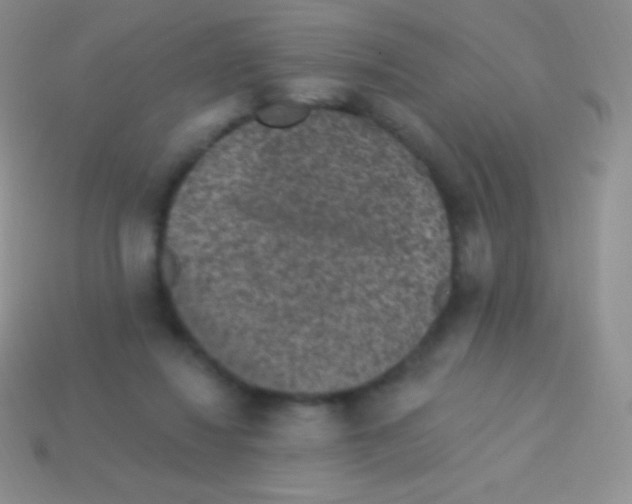 X0000113630260200910162022