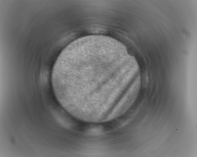 X0000113630263200910162022