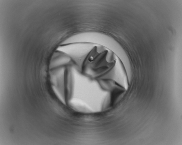 X0000113630264200910162022