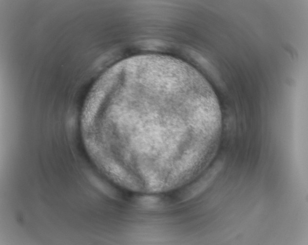 X0000113630265200910162022