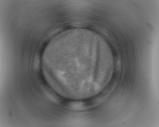 X0000113630266200910162022