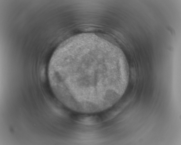 X0000113630267200910162022