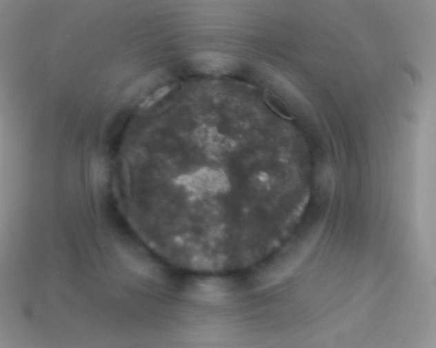 X0000113630268200910162022