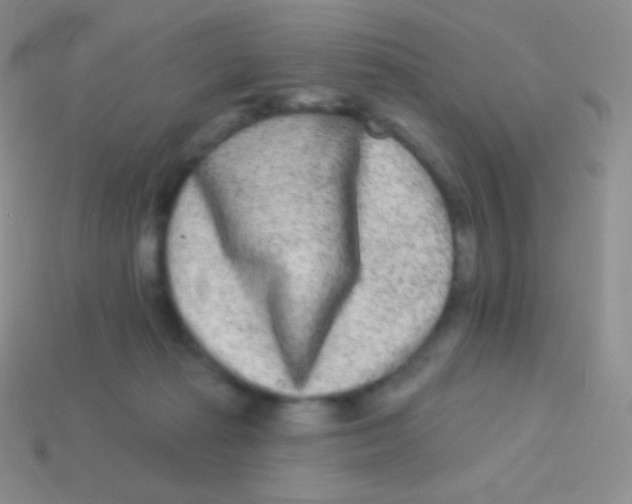 X0000113630269200910162022