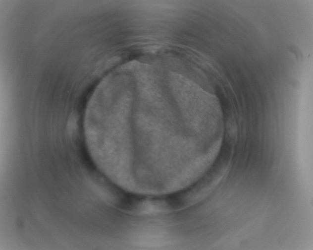 X0000113630270200910162022