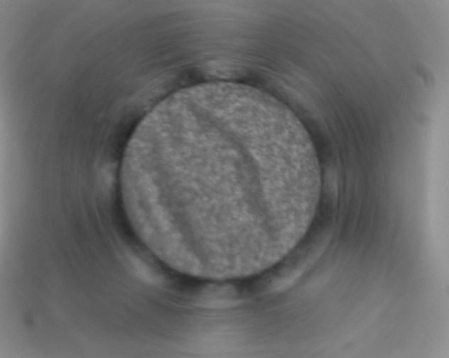 X0000113630271200910162022