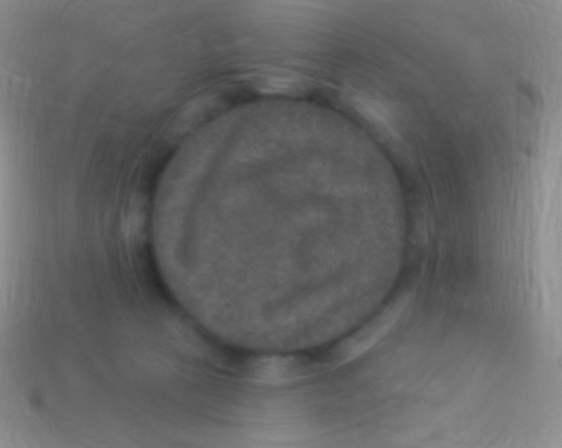 X0000113630273200910162022