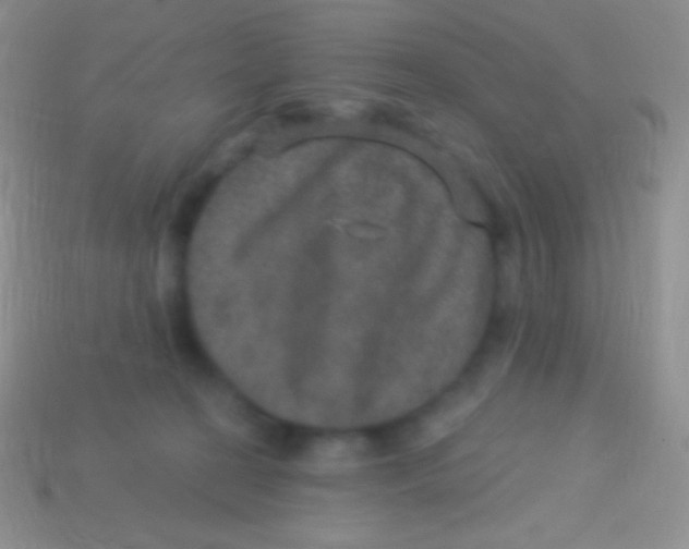 X0000113630274200910162022