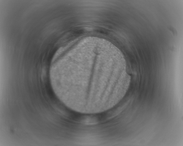 X0000113630275200910162022