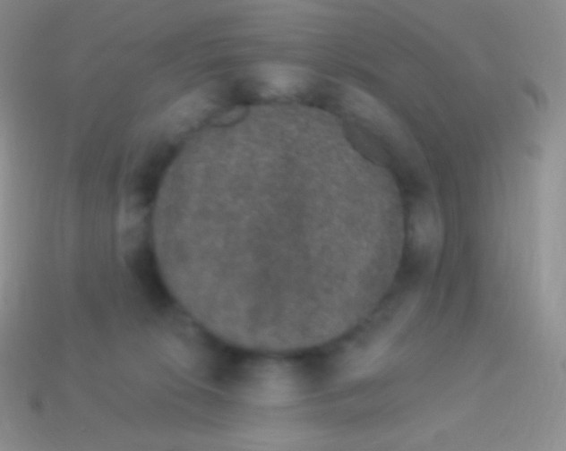 X0000113630276200910162022