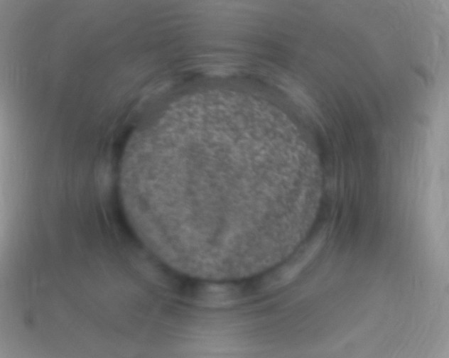 X0000113630277200910162022