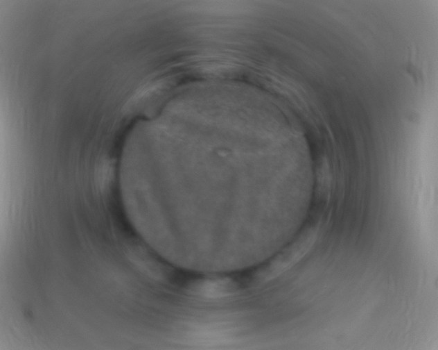 X0000113630278200910162022