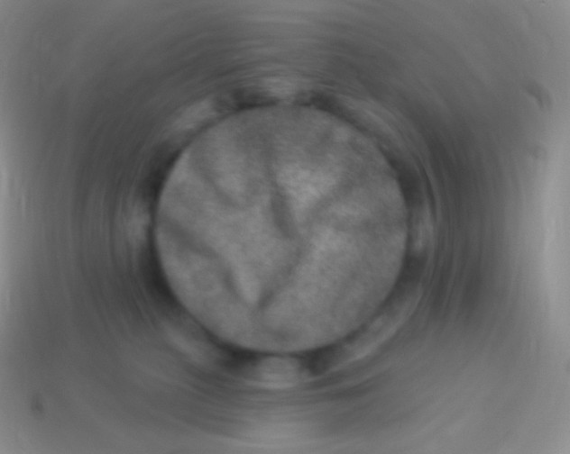 X0000113630279200910162022