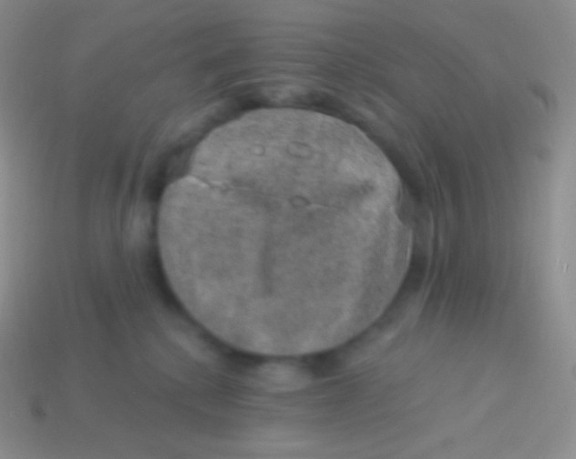 X0000113630280200910162022