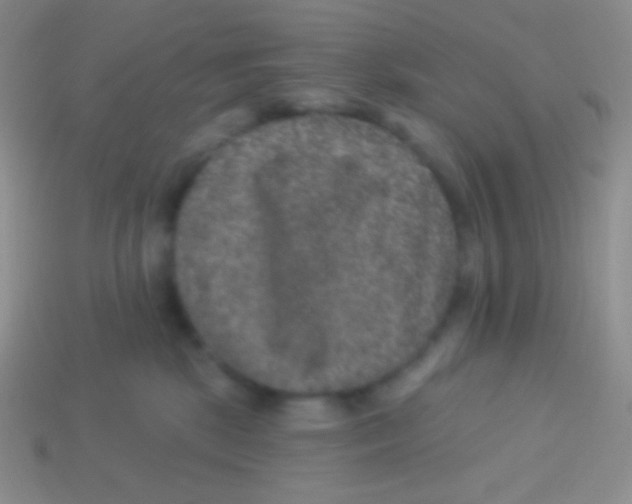 X0000113630281200910162022