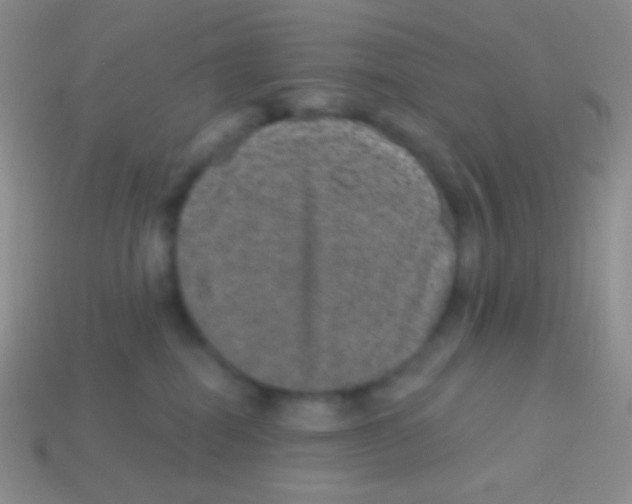 X0000113630282200910162022