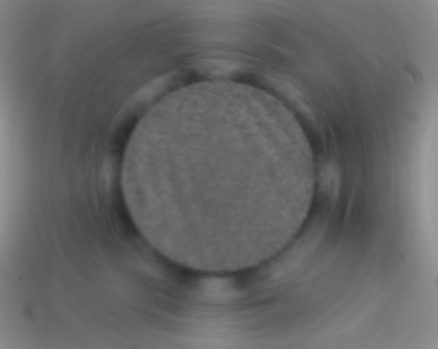 X0000113630283200910162022