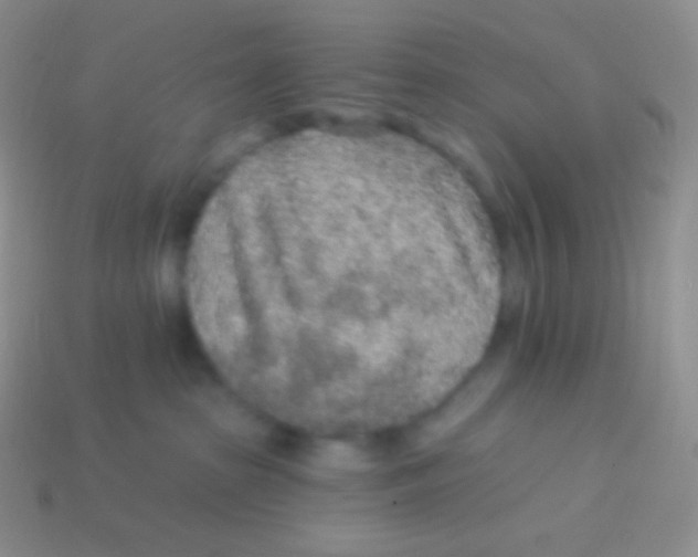 X0000113630285200910162022