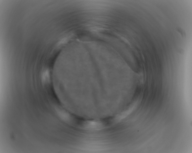 X0000113630286200910162022