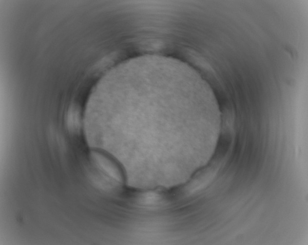 X0000113630287200910162022