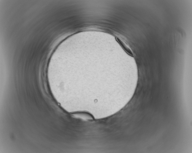 X0000113630289200910162022