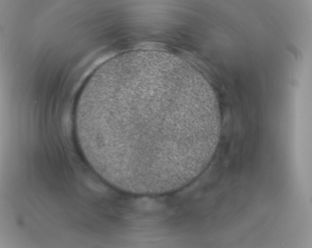 X0000113630290200910162022