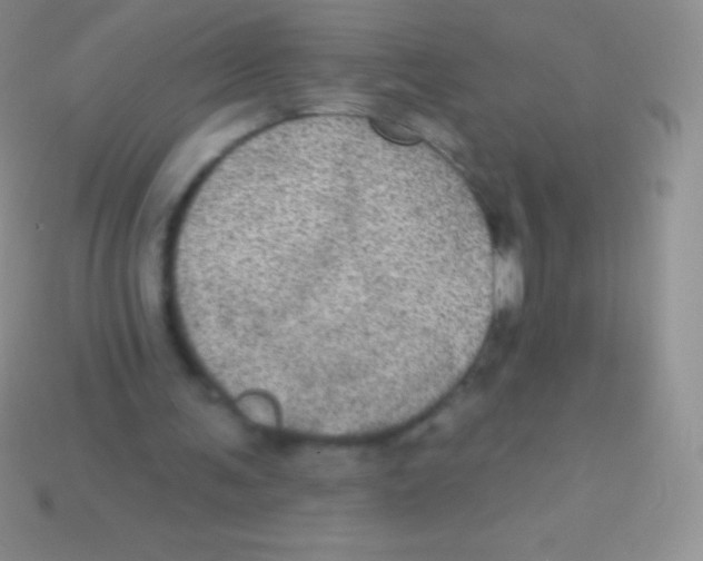 X0000113630291200910162022