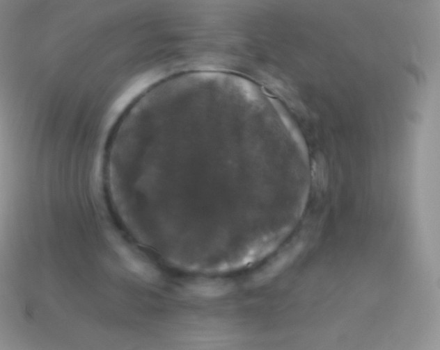 X0000113630292200910162022