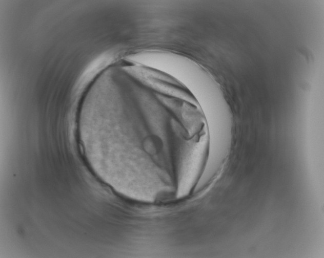 X0000113630293200910162022