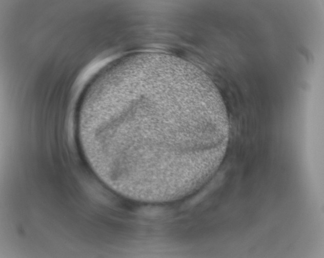 X0000113630294200910162022